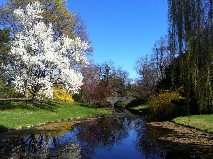 Dow Gardens, United States